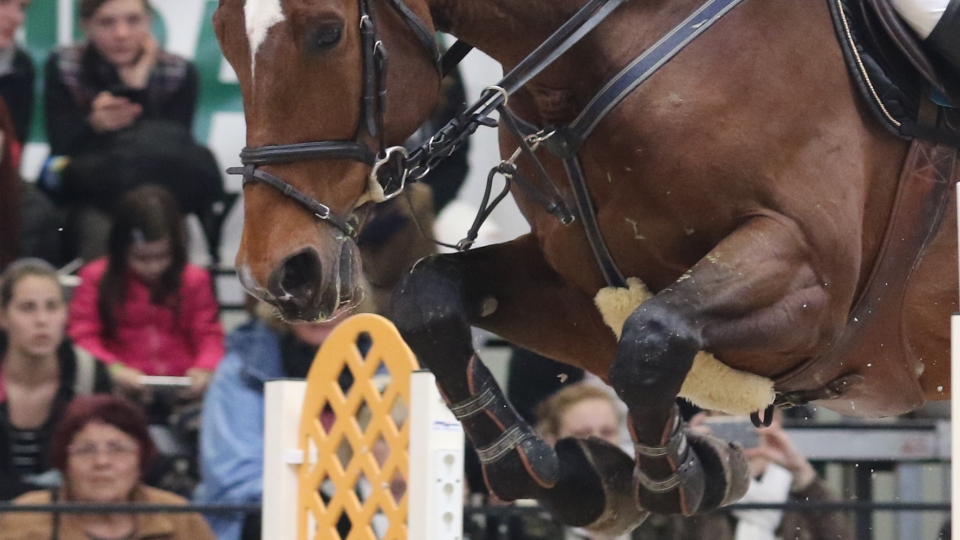 Sobotní Grand Prix v Helsinkách pro Guerdata