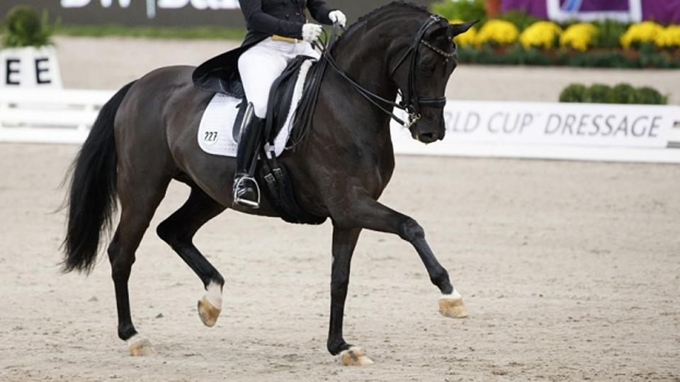 Sobotní CDI5* Grand Prix pro domácí Ferrer-Salat