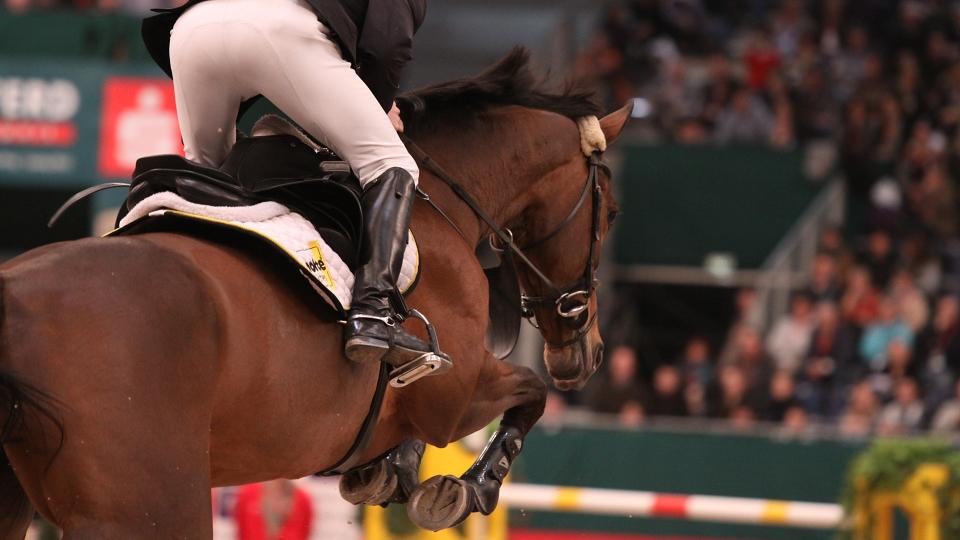 Grand Prix při CSI v Curychu pro domácího Fuchse