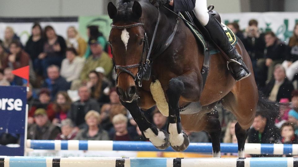 Závěr CSN v Magna Racinu opět s českými starty