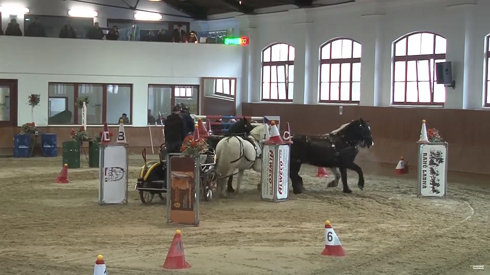 Video záznam 3. kola ZJP ČJF 2018 v hale VFU Brno