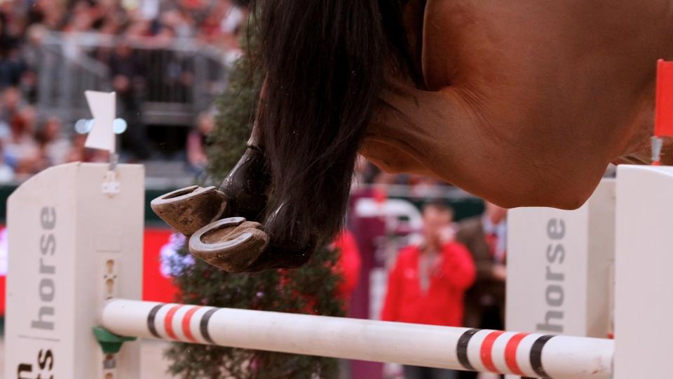 Šobichová zakončila CSI Kronenberg v Grand Prix