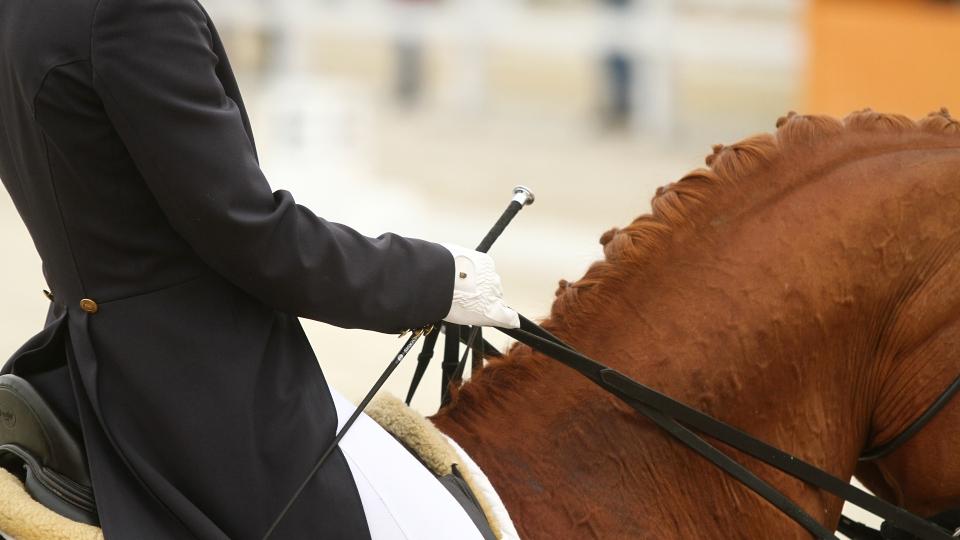 Werth i nadále ve vedení drezurního žebříčku FEI