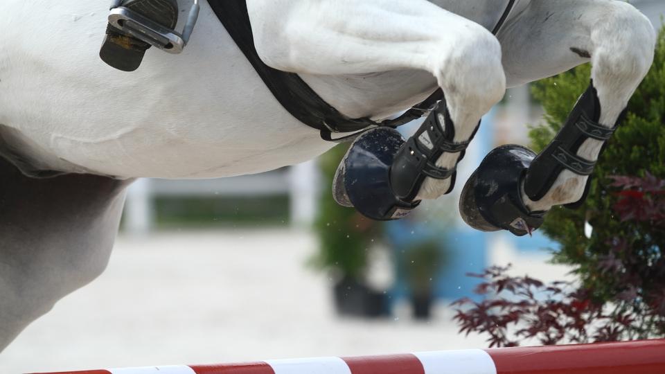 Páteční výsledky Lady Šobichové při CSI Bonheiden
