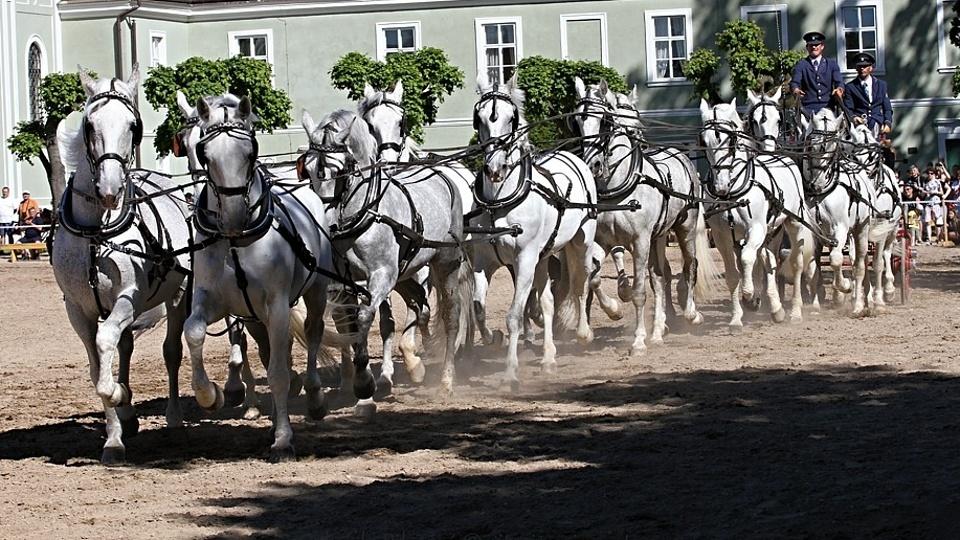 NH v Kladrubech nad Labem vstupuje do nové sezóny