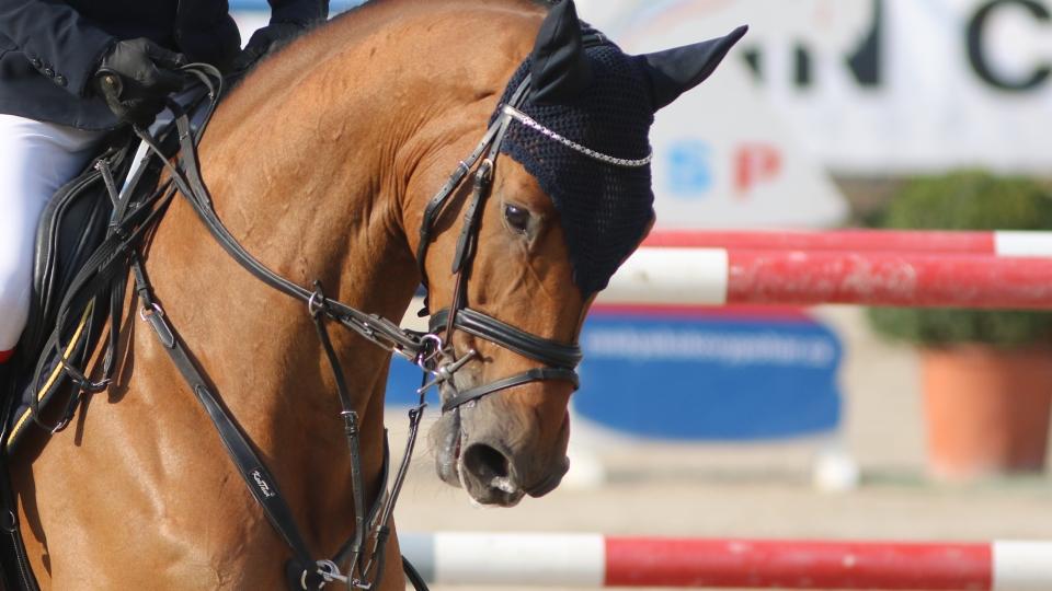 Blíží se závody Victory Jump Tour v Čisovicích