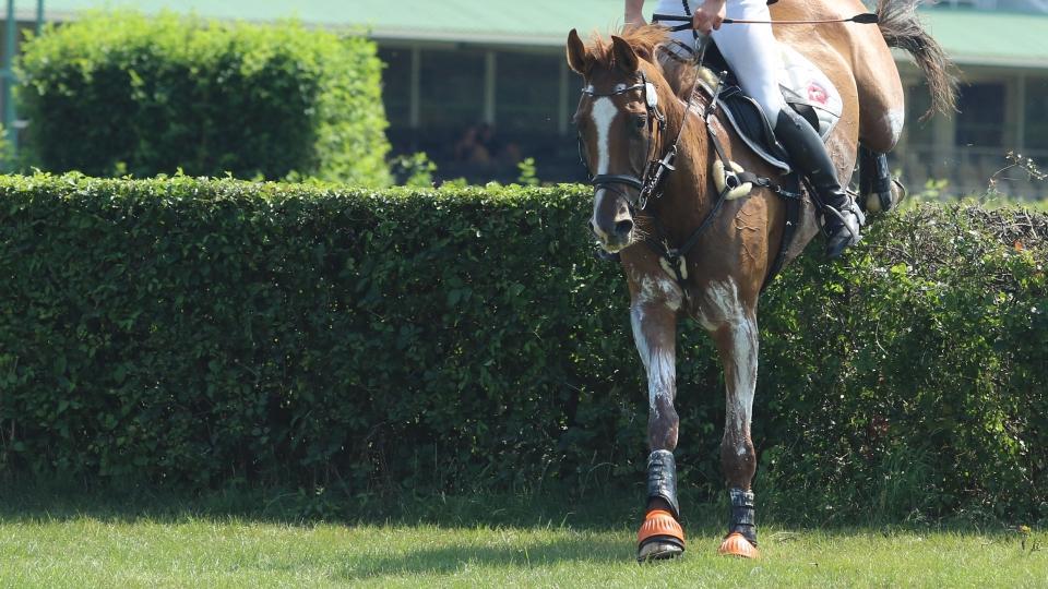 Votavová i Kamírová v cíli CCI2* v Sopotech