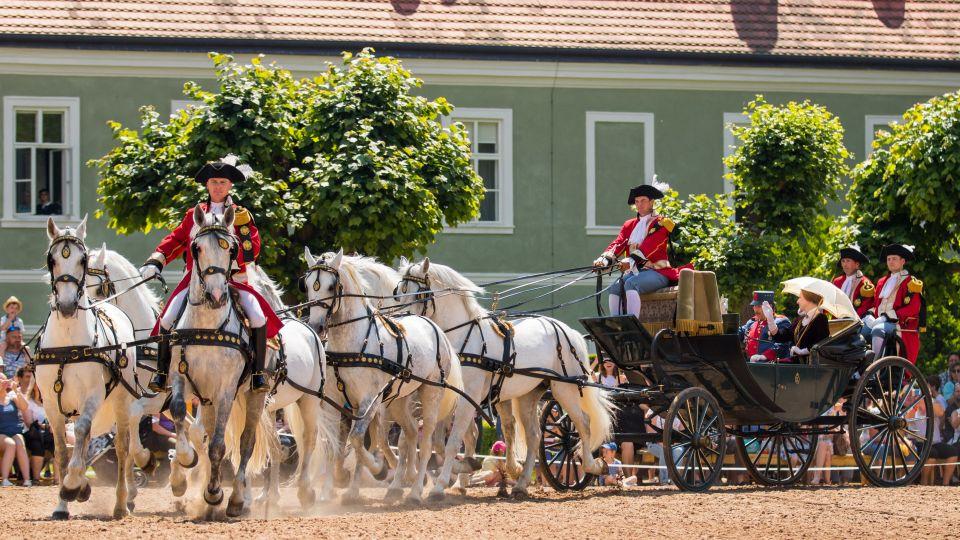 Den starokladrubského koně 2018 ve fotogalerii