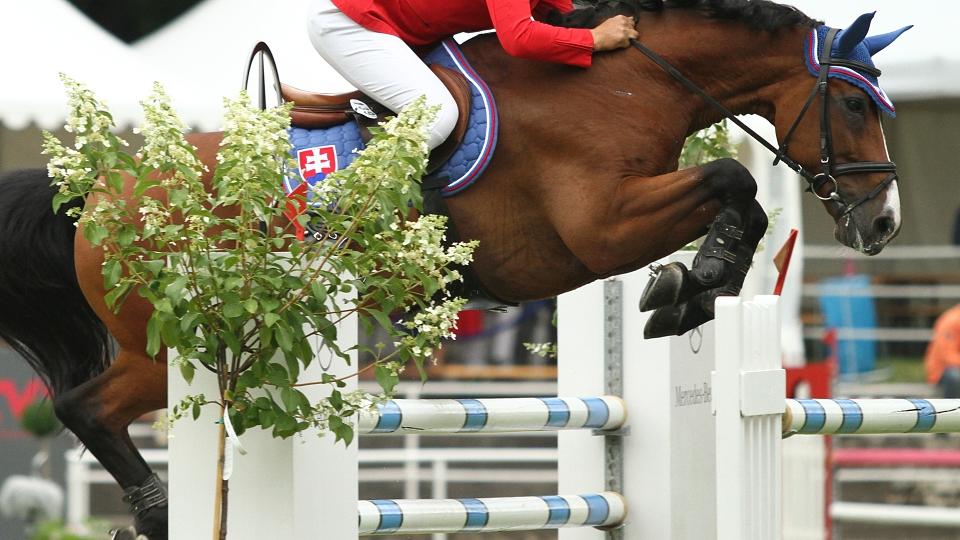 Jezdecké dění na Slovensku v 22. a 23. týdnu 2018