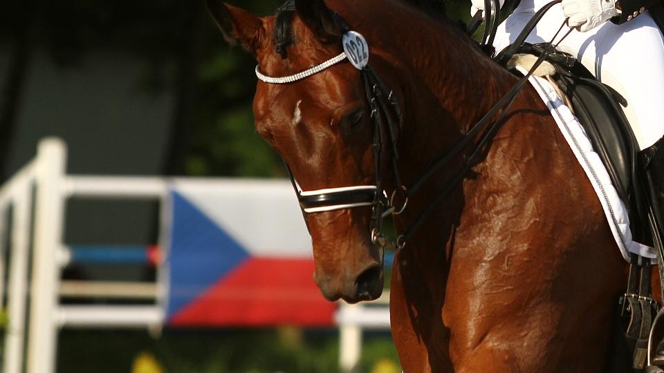 Kateřina Cox odstartuje na CDI Harthill