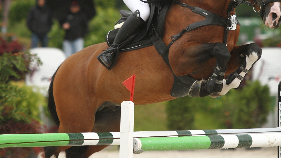 Lada Šobichová bude startovat při CSI Bonheiden