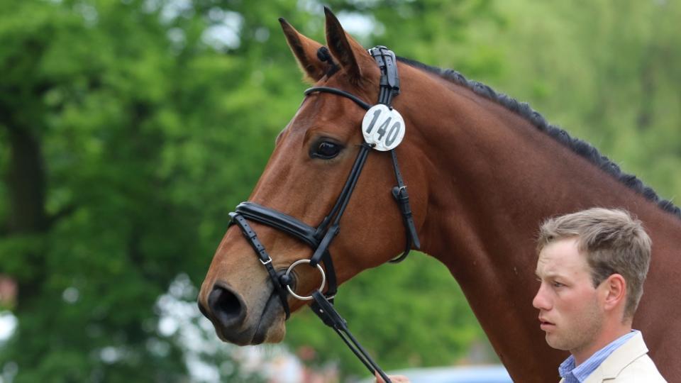 Příhodovo čtvrté místo při CCI2* ve Strzegomi
