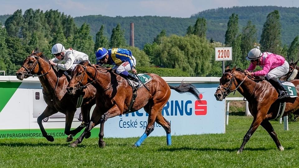 Český turf se raduje z rekordních příjmů od PMU