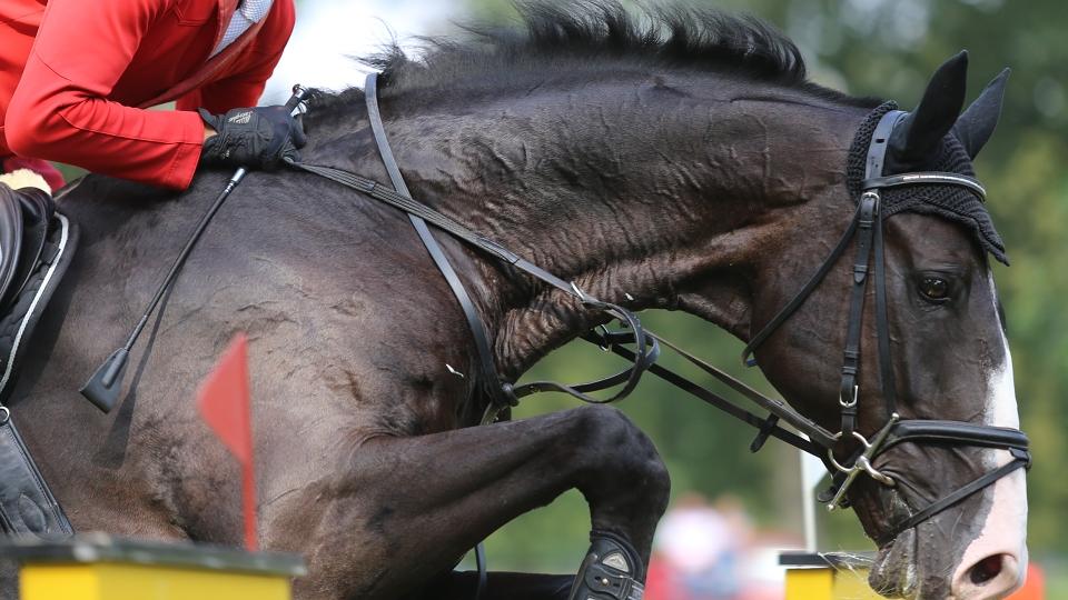 Češi nechyběli v nedělní GP při CSI Wr Neustadt