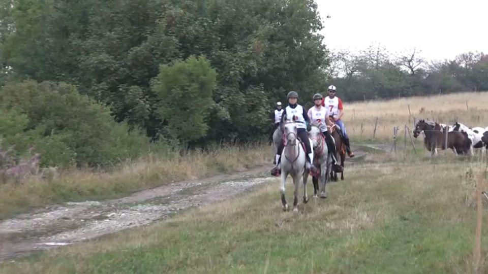 Devadesátka EquiTV z CEI a MČR 2018 ve Slavošově