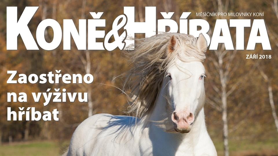 Zářijová Koně a hříbata v prodeji