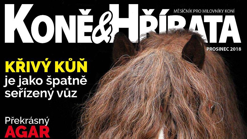 Prosincové číslo Koně a hříbata jsou venku