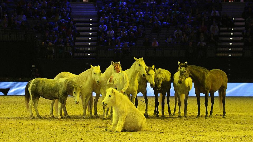 Na sobotní podvečerní show PlayOffs přijďte dříve