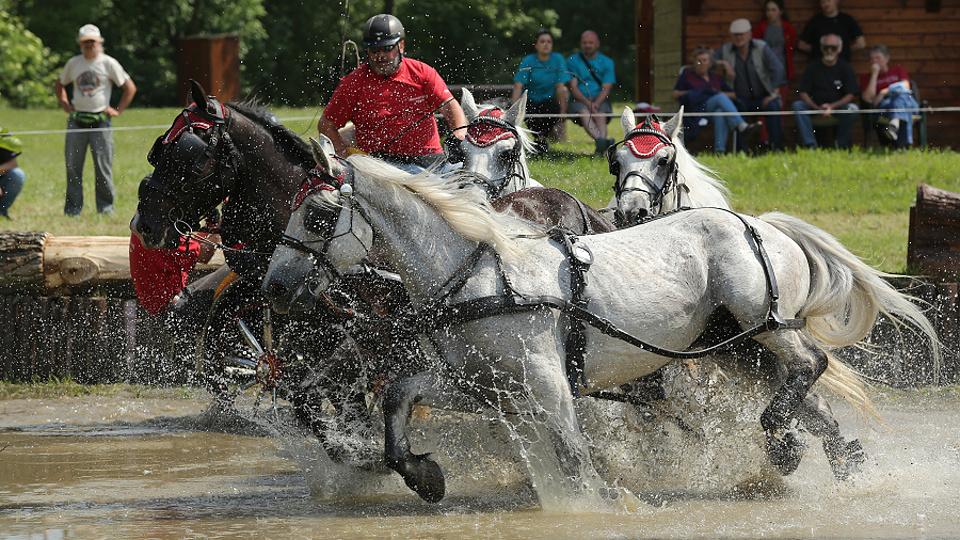 S pořadateli mistrovství ČR 2019 - Těšánky