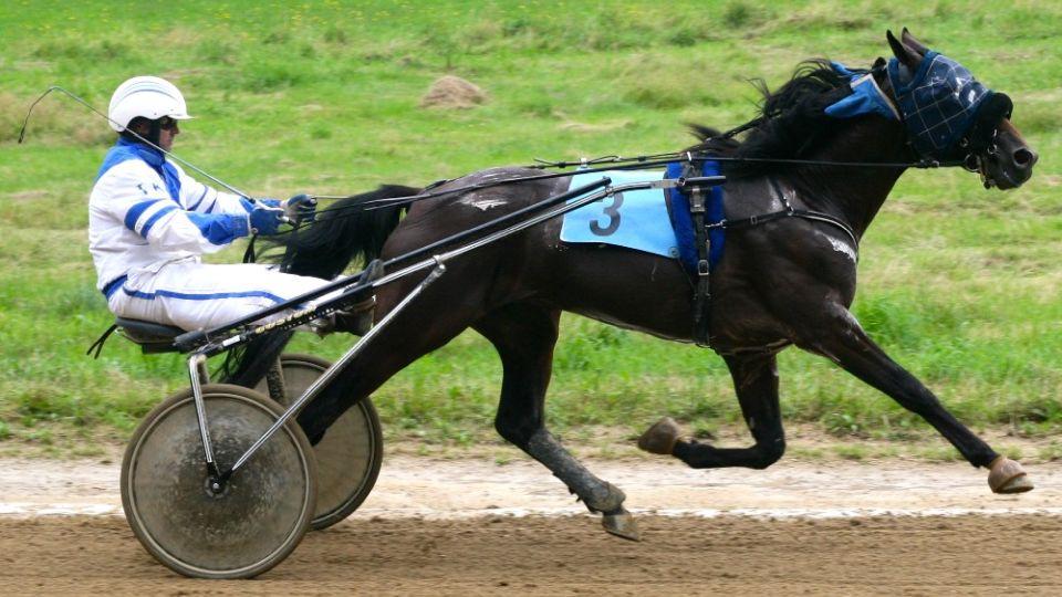 Klusáci ŽIVĚ na EquiTV: Velká dubnová cena a Trotteur Francais II 2019