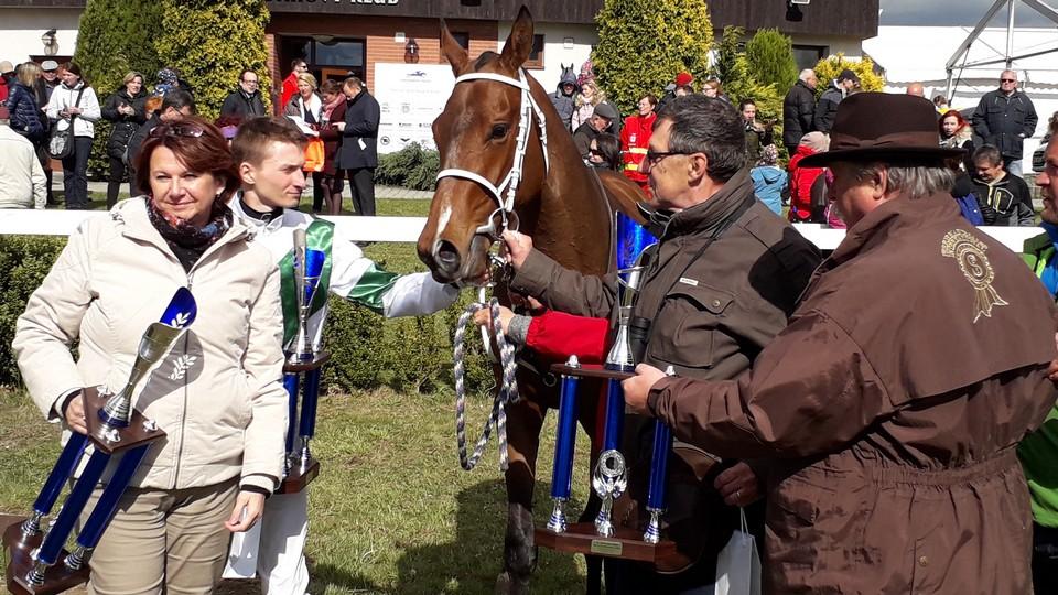 Rozhodla změna taktiky. Gold Memory a Hrouda ovládli Jarní cenu klisen