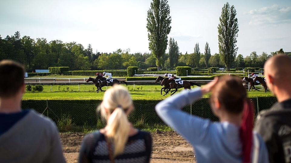Sleva na vstupenky na Velkou pardubickou a Koně v akci 2019 končí 