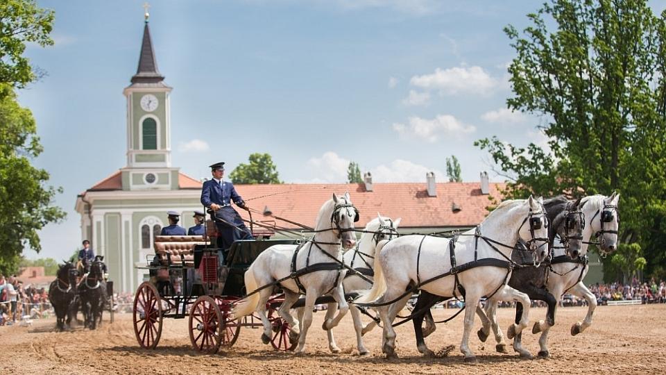 Přijďte do Kladrub oslavit zápis Národního hřebčína na seznam UNESCO