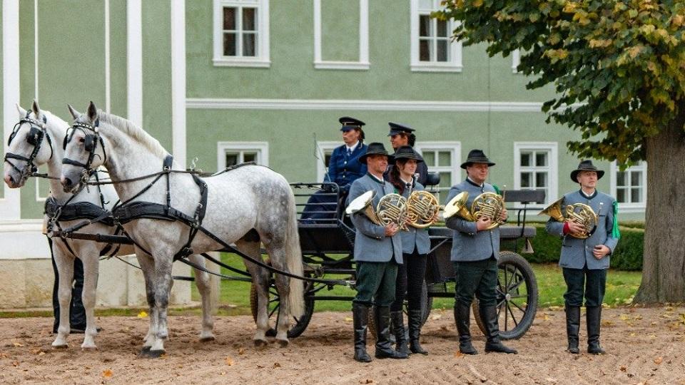 ikonka