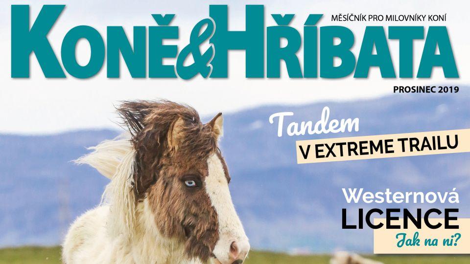 Anglie i western. Je tu prosincové číslo časopisu Koně a hříbata