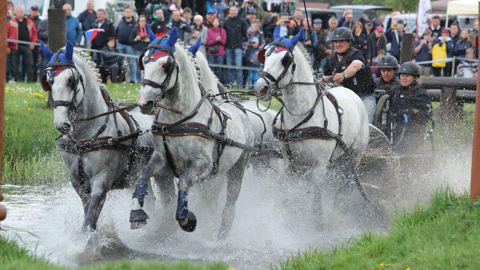 Galavečer ČJF: Nominace jezdců a koní roku 2019 v disciplíně spřežení