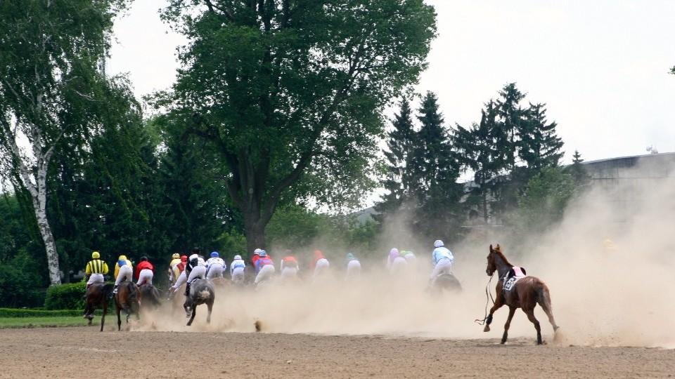 Váňa zůstává v čele asociace steeplechase, Pardubice představily plány