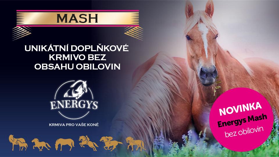 Unikátní krmivo na českém trhu. Energys Mash bez obilovin