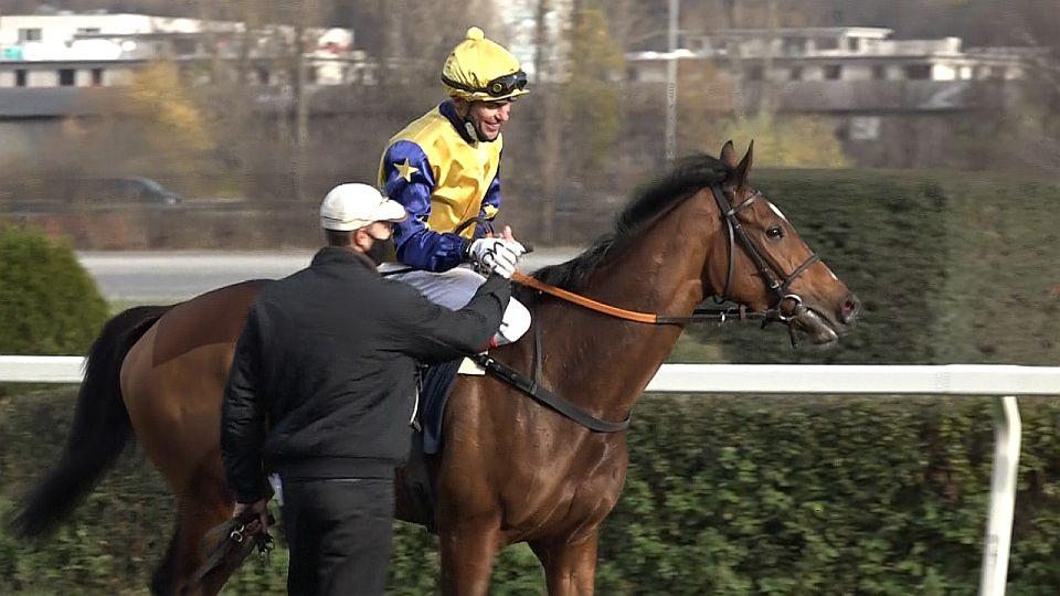 Equinews: Vivienne Wells v roli favoritky vyhrála klasický St. Leger