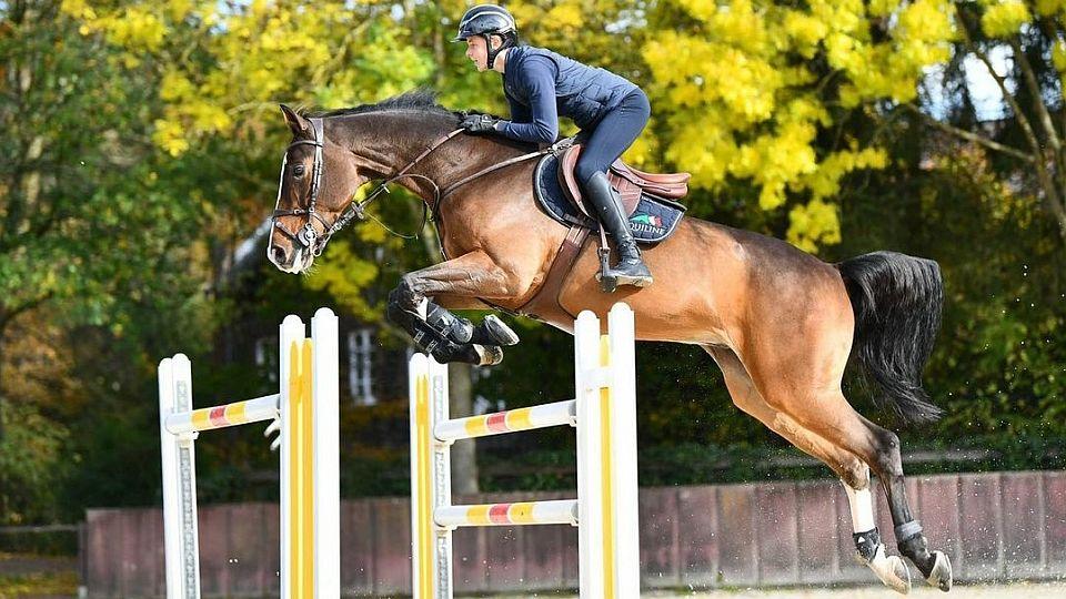 Oliver Písařík vyzkoušel koňské pólo. Parkur ovšem jednoznačně vyhrál