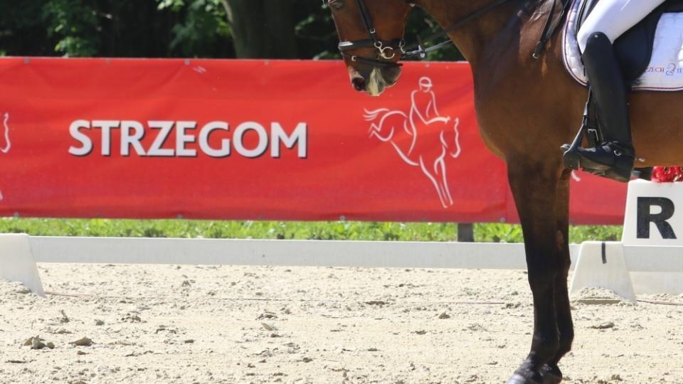 Češi ve Strzegomi mají za sebou drezuru. V CCI4* lepší Jaroslav Abík