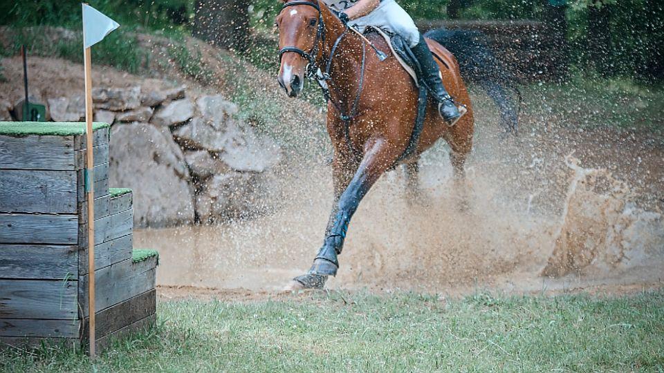 Zlatá podkova 2021 začala v Přeštěnicích. Závody s nevítanými hosty