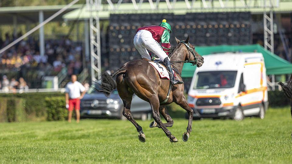 Equinews: V St. Legeru padl rekord. Slovenská radost v Pardubicích