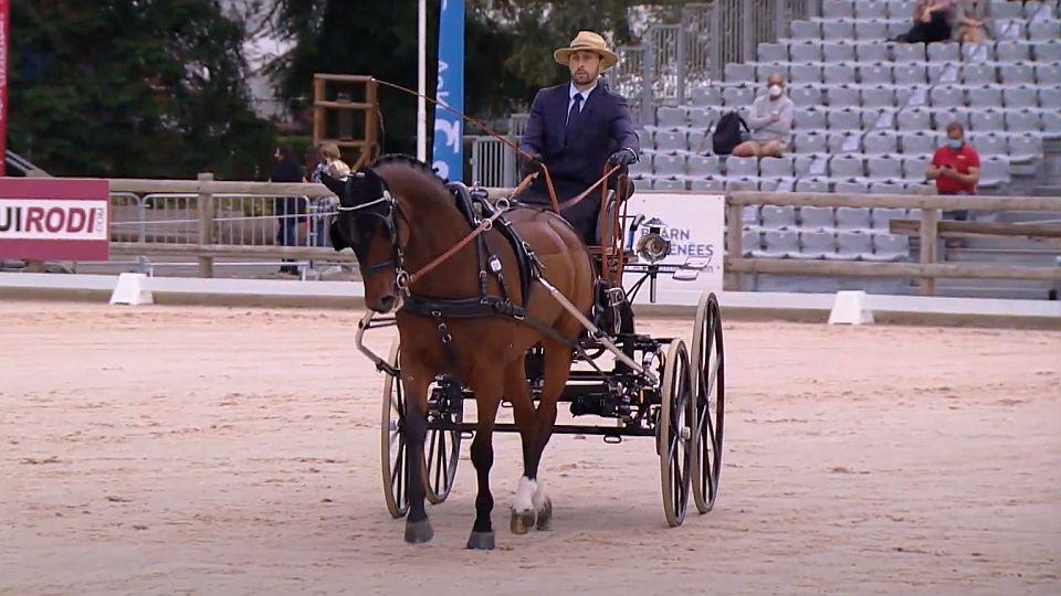 Hřebčín Haras du Pin ožije v září. Koná se tam MS jednospřeží 2022