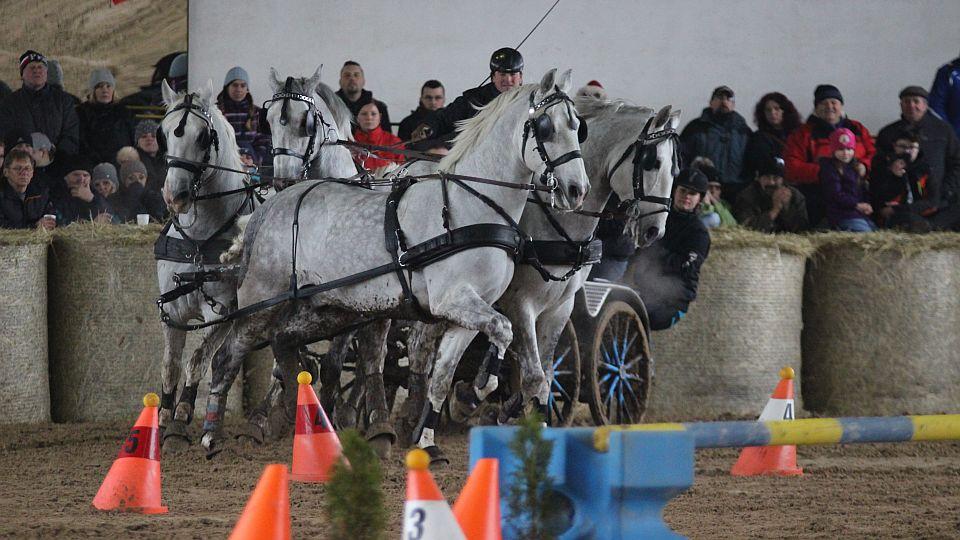 Závodní premiéra slatiňanské haly. Dorazí rekordních šedesát spřežení