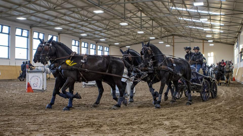 Equinews: Halou ve Slatiňanech opět kroužily kočáry. GCL 2022 se blíží