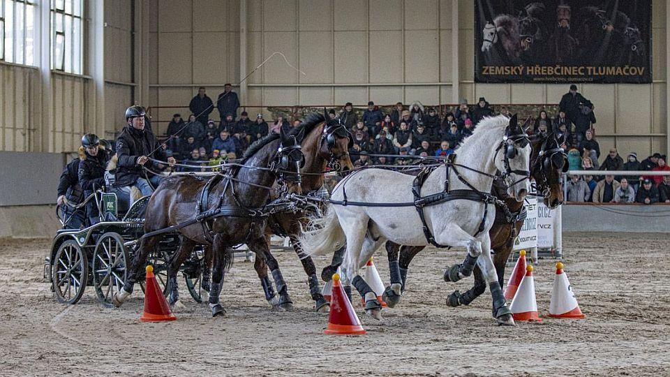 Do finále Zimního jezdeckého poháru se kvalifikovalo již 11 čtyřspřeží