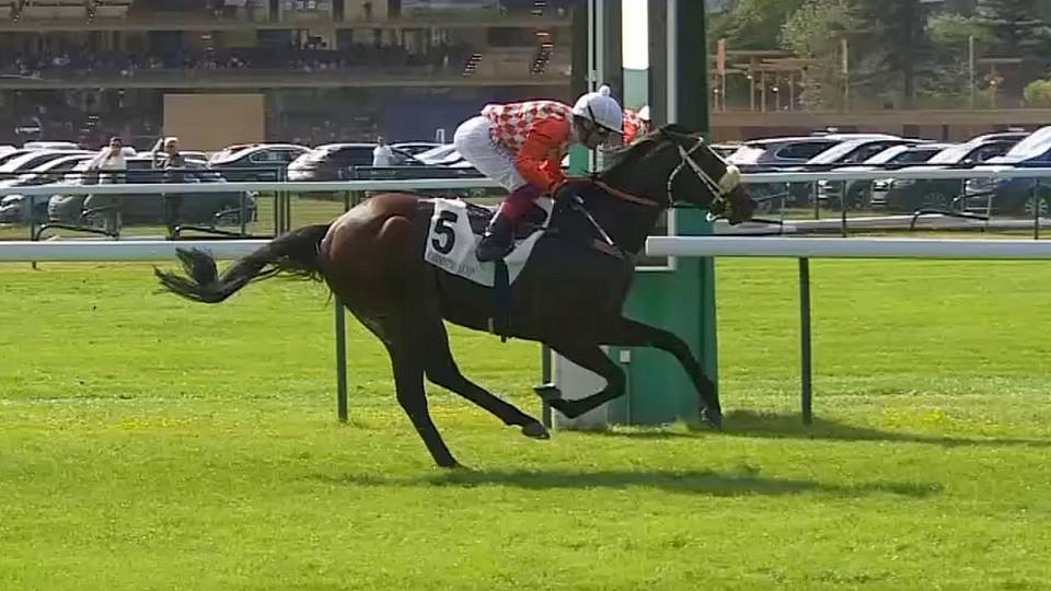 Jak Frankie potkal Ponntose. Český šampion vyhrál start - cíl v Paříži