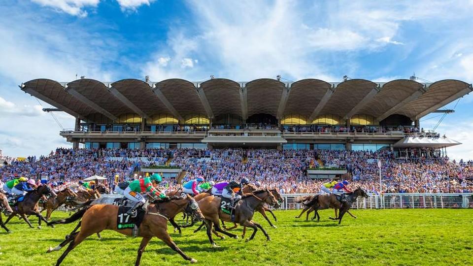 Necelé dvě délky od vítěze: Ponntos bere páté místo v Goodwoodu