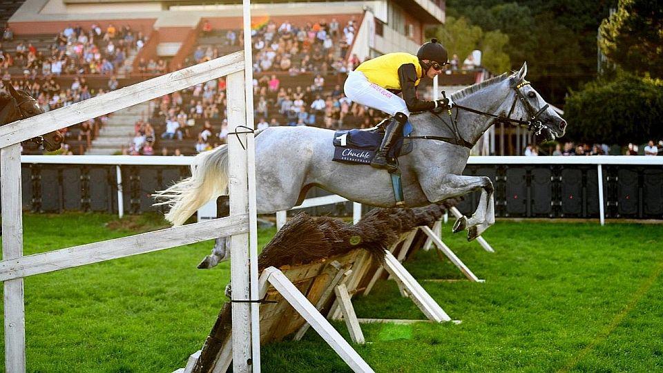 Živě: Bartošův návrat a překážkové hvězdy. Sledujte Zlatý pohár EŽ