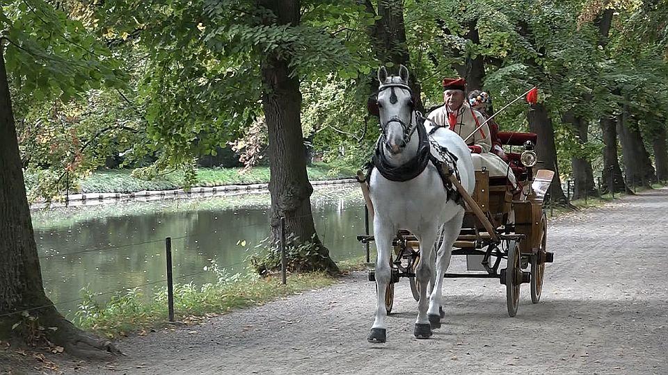 Kroměříž hostí po třech letech tradiční zápřeže. Městem projede průvod