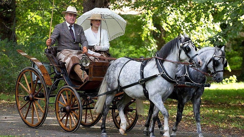 Obrazem: Koňská krása, elegance a návrat do historie v Kroměříži