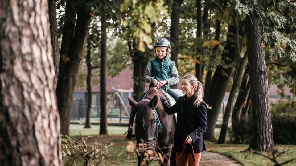 Nová nadace Edwiny Tops-Alexander. Dala jí jméno svého milovaného koně
