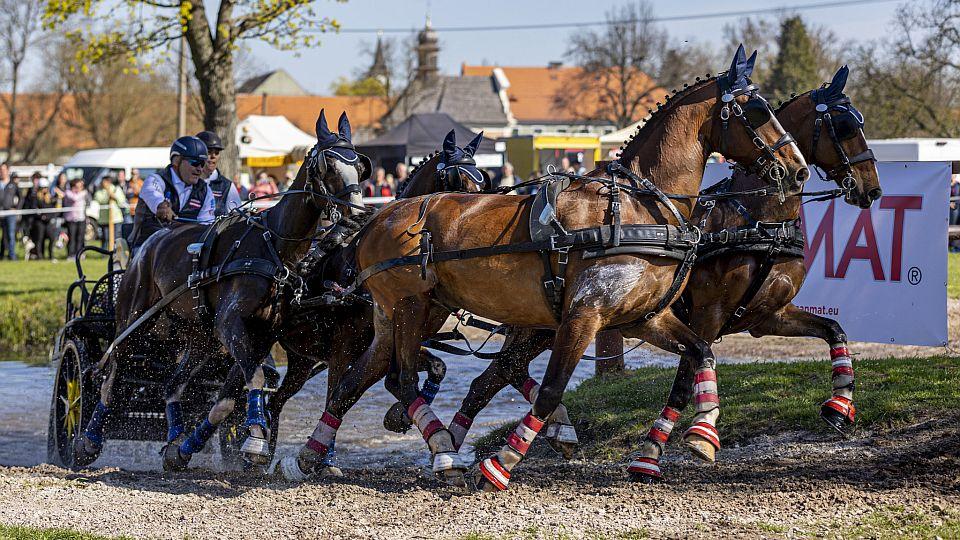 Do Kladrub dorazí hvězdná sestava vozatajů v čele s Boydem Exellem