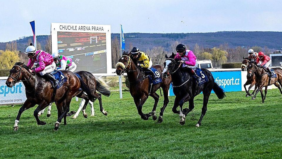 Živě: Velký pátek v Chuchli. Sledujte 96. Tipsport Gomba handicap