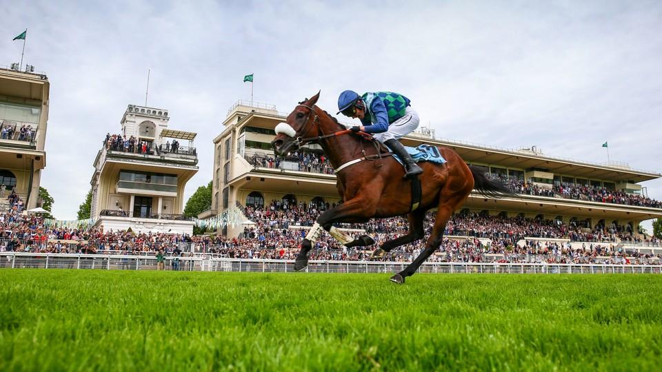 Josef Bartoš o Grand Steeple-Chase: Je to největší dostih mého života